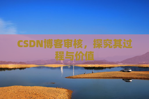 CSDN博客审核，探究其过程与价值